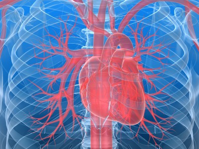 Left Ventricular Hypertrophy - Enlarged heart Life Insurance