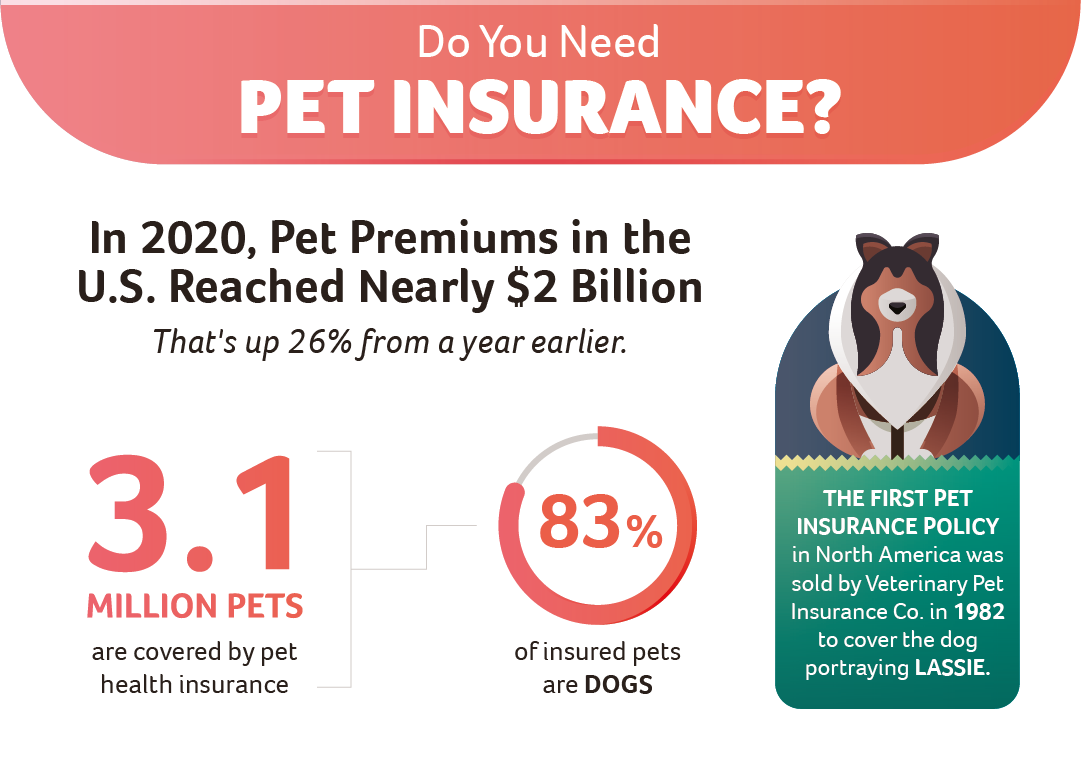 do you need pet insurance?